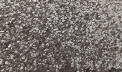 mocha brown carpets