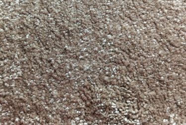 wheat brown carpet